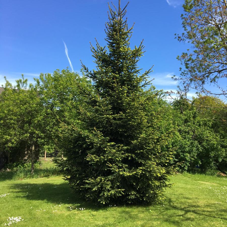 Vila Lieu Dit Le Jardin Saint-Lambert  Exteriér fotografie